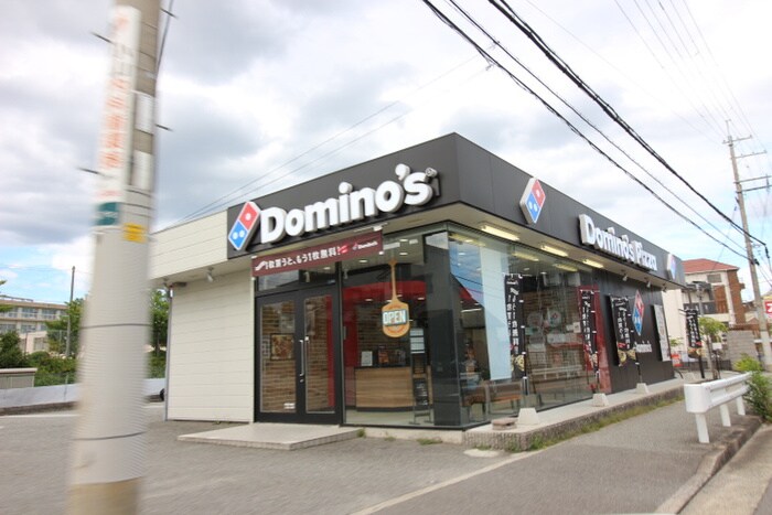 ドミノピザ(ファストフード)まで1100m ソレイユ