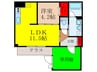 ラピスコ－ト 1LDKの間取り