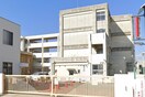 明石市立人丸小学校(小学校)まで400m 明石市東野町戸建