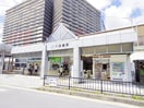 その他 フラウメンドルフ