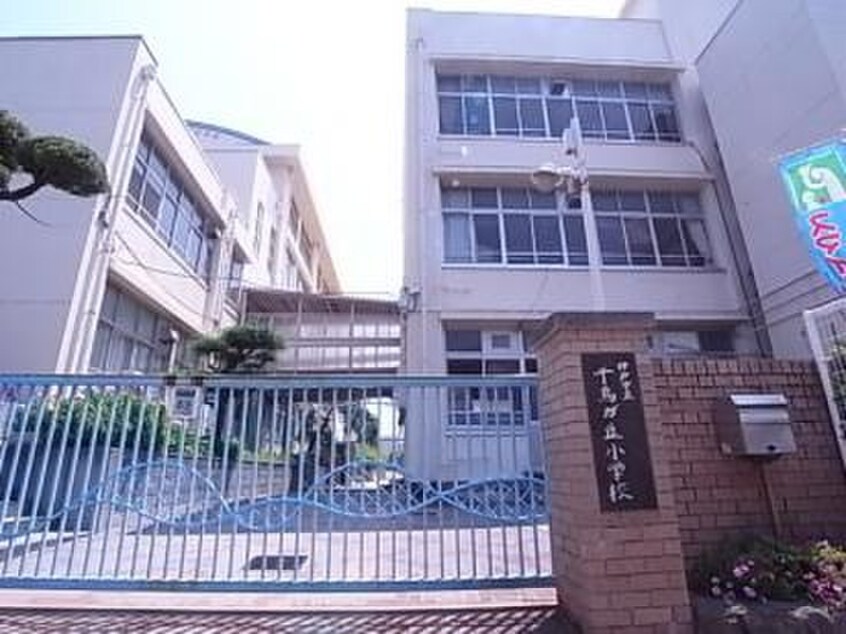 千鳥が丘小学校(小学校)まで500m エルベ千鳥が丘