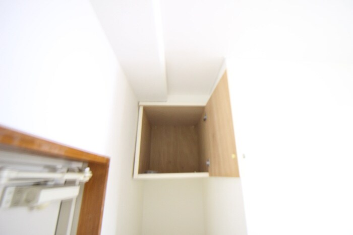 収納 ﾊﾞｲｵﾚｯﾄｷｬｯｽﾙｲﾝ宝塚
