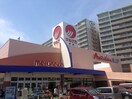 山陽マルナカ(スーパー)まで985m NOMA車之町