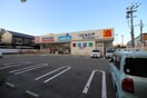ウエルシア住之江新北島店(ドラッグストア)まで230m コージーハイツ美南Ⅱ