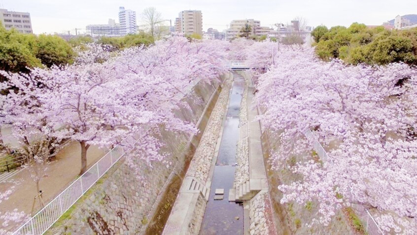 妙法寺川公園(公園)まで600m 東須磨グリーンハイツ