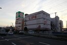 ライフ 巽店(スーパー)まで472m ジョイフリー富士