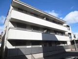コ－ジ－コ－ト