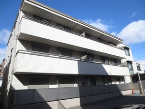 コージーコート