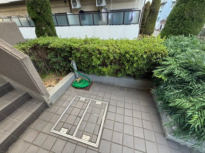 その他 アレグレス