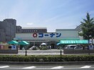 コーナン(電気量販店/ホームセンター)まで1000m リ－ジョン御池