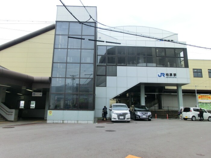 JR柏原駅(役所)まで228m ＣＨＡＲＭＥＣＯＵＲＴ