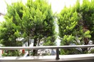 室内からの展望 ＨＡＭＡＤＥＲＡ　ＰＵＮＴＯ