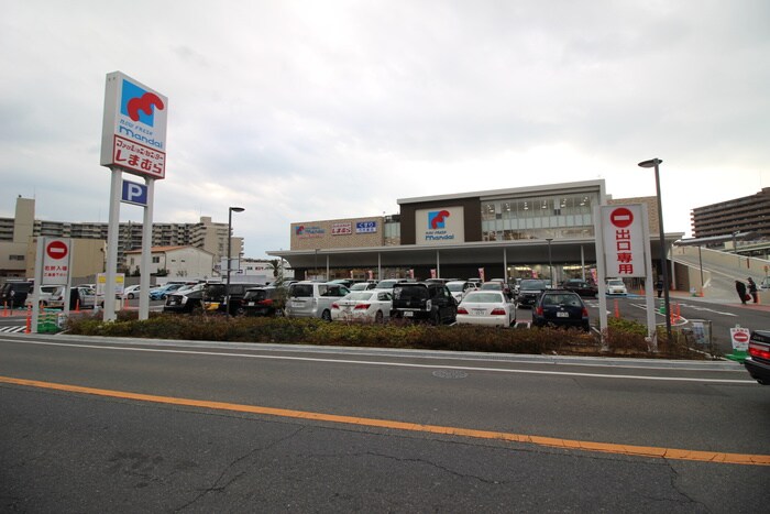 マンダイ上野芝店(スーパー)まで600m ﾌｨｵｰﾚ東上野芝