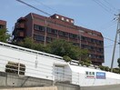 渡辺病院(病院)まで788m サンシテイ
