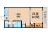 メゾン枚方 1LDKの間取り
