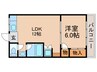 メゾン枚方 1LDKの間取り