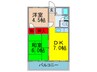 ﾄｰｶｲﾊｲﾂ 2DKの間取り