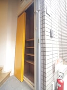 靴箱 Ｄ．Ｓ　ＪＵＮＯ桂