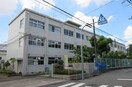 高槻市立磐手小学校(小学校)まで400m レジデンス安満