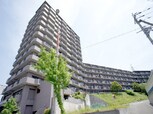 パインフィ－ルド緑地公園(601)