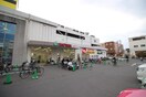 スギ薬局 大仙店(ドラッグストア)まで700m グランビア八千代通