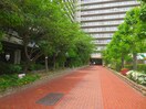 その他 ﾌｧﾐｰﾙﾊｲﾂ北大阪Ⅰ号棟(523)
