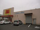 ケアーズドラッグやわた店(ドラッグストア)まで332m シャン・ド・フル－ル雅