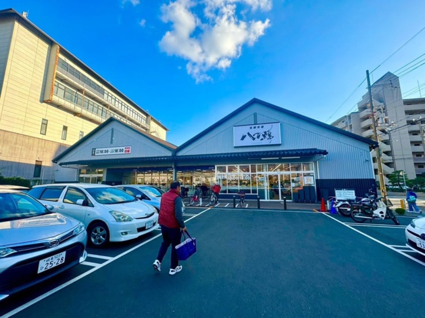 八百鮮 魚崎南店(スーパー)まで700m 灘ビラー（109）