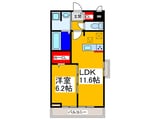 メゾンルミネ若松