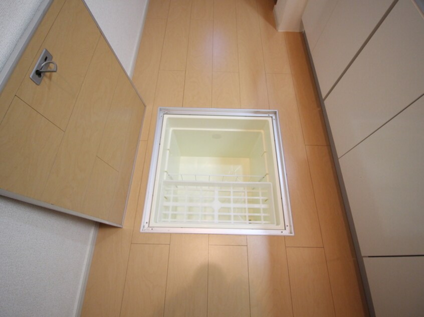 収納 モデッサ　フェリーチェ