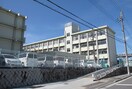 神戸市立枝吉小学校(小学校)まで450m 第２都荘