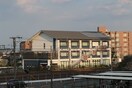 大津市平野市役所(役所)まで1200m アークリード由美浜