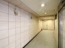 外観写真 ﾊﾟﾙｼｵ三宮ﾌﾗﾜｰﾛｰﾄﾞ(405)