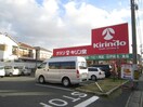 キリン堂(ドラッグストア)まで450m ＴＨＩＲＤ　ＨＩＬＬＳ