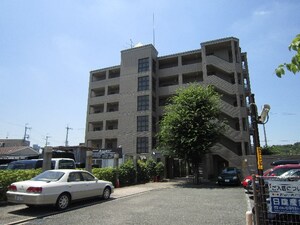 HACIENDA北野