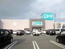 ニトリ(電気量販店/ホームセンター)まで1114m カ－サ・デ・エスペランサ