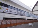 周辺環境 ラントレ池上