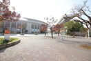 長居公園(公園)まで650m ベルメゾンＫ