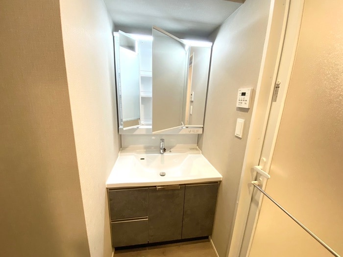 洗面 ＲＪＲプレシア南堀江