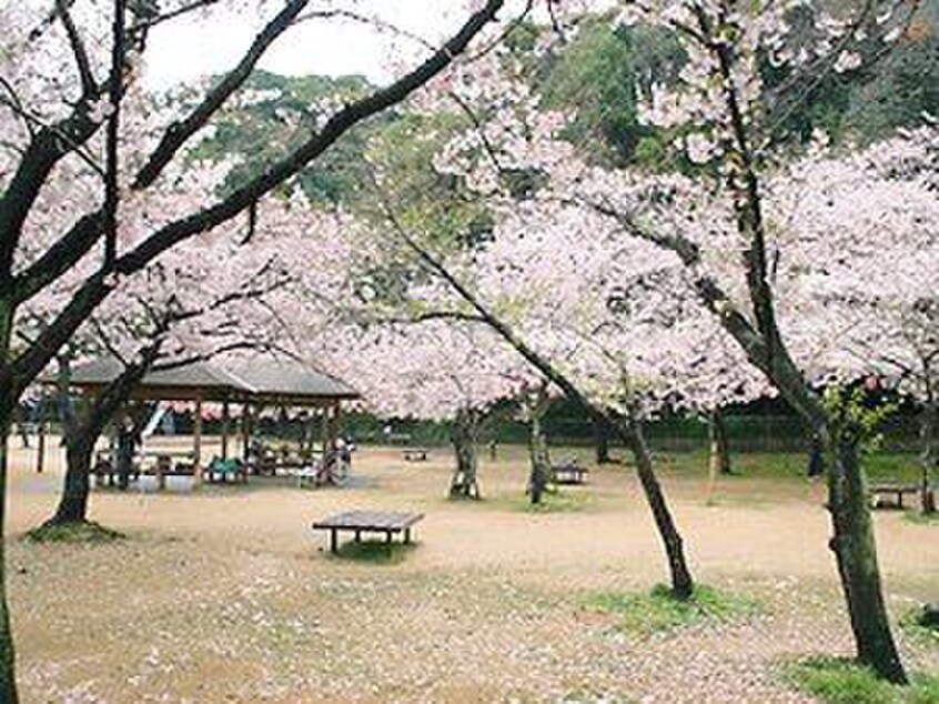 須磨寺公園(公園)まで700m 高倉山フラッツ