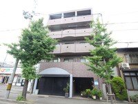 ゴールドクレスト