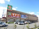 エディオン(電気量販店/ホームセンター)まで630m アンビエント緑が丘