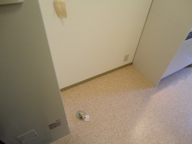 洗濯機置場 エスペランサカーサ