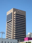 東大阪市役所(役所)まで1250m エルドラド