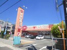 セガミ(ドラッグストア)まで270m ハイツ室川Ⅰ