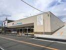 万代(スーパー)まで550m 石原町貸テラスハウス
