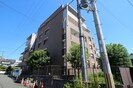 シャングリラの外観