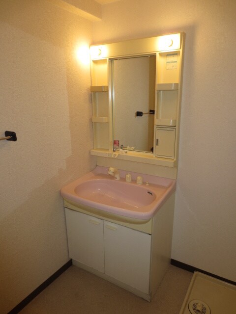 洗面 スヴァーネ東山本