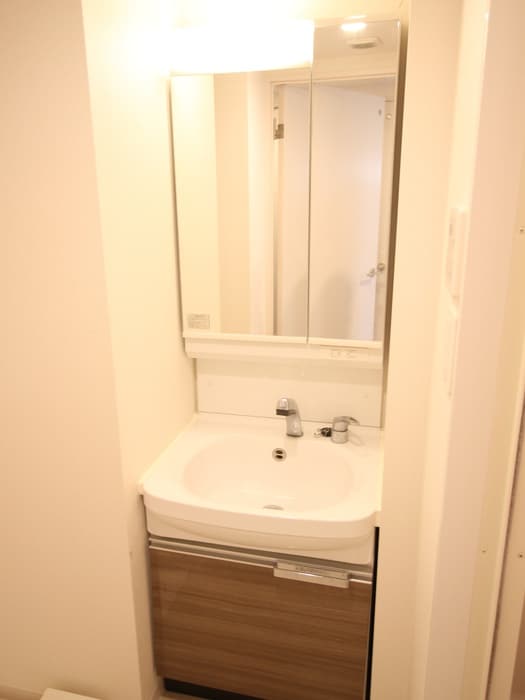 洗面 プレサンス京都洛南（２０４）