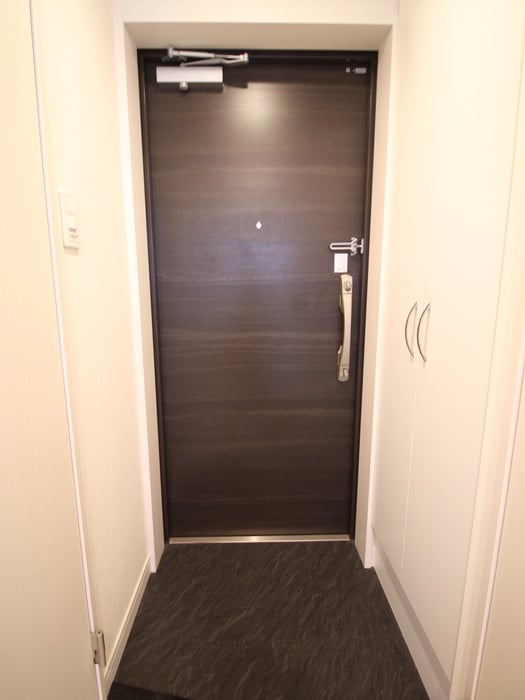 玄関 プレサンス京都洛南（２０４）